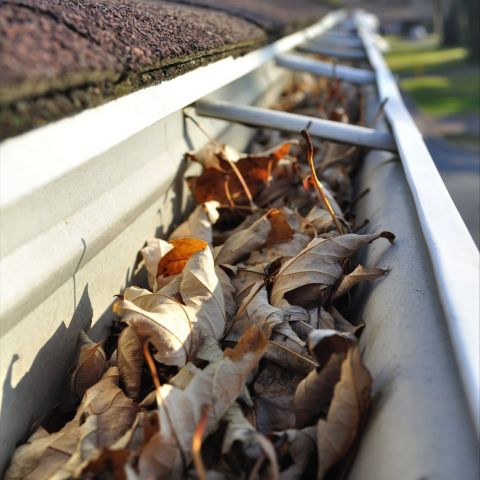 Image depicting the Service Gutter Cleaning
