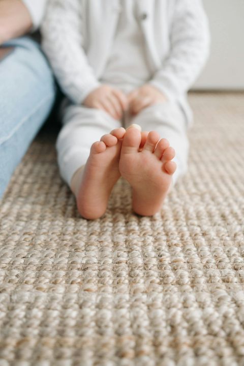 Image depicting the Service Carpet Cleaning