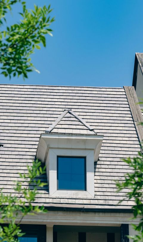 Image depicting the Service Roof Cleaning